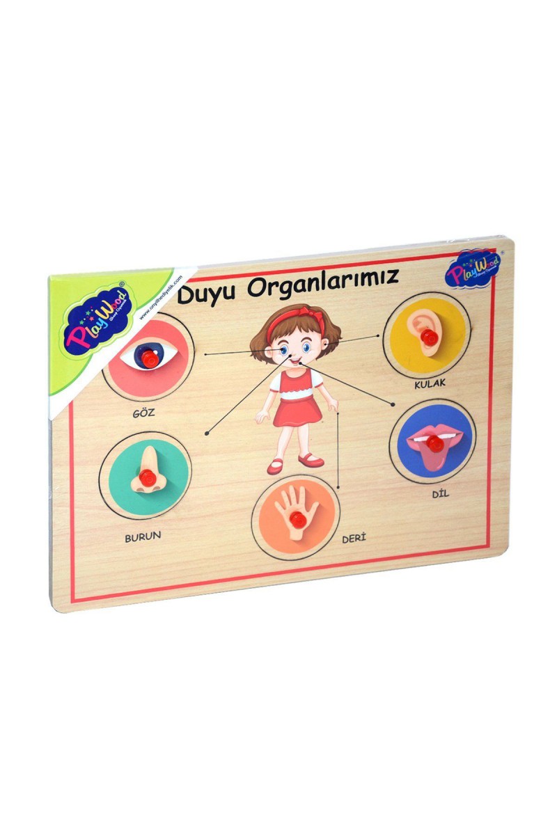 166/167 Onyıl, Ahşap Tutmalı Organlar