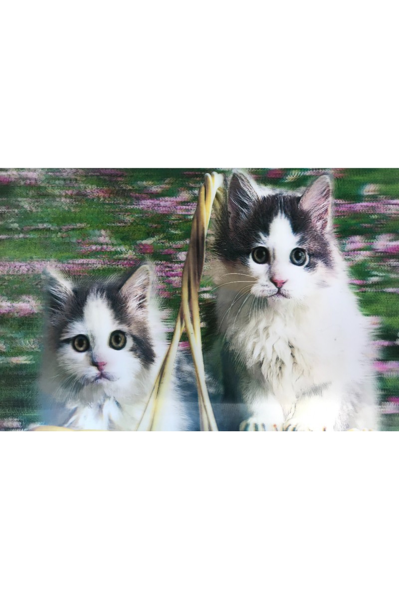5d Elmas Boyama Sevimli Kediler ikili Kedi Resmi Tablosu 40x60 Cm