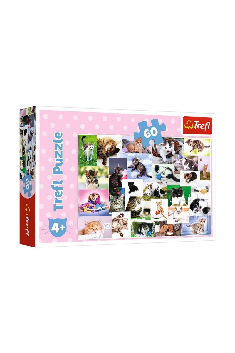 17332 Kedi Dünyası 60 Parça Puzzle -trefl Puzzle